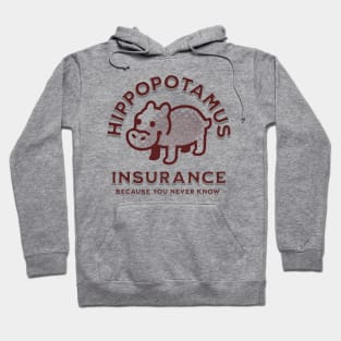 Hippo Insurance Hoodie